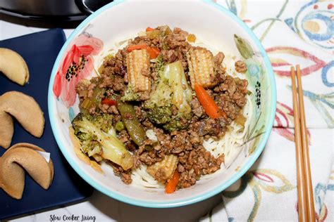 crock-pot-chow-mein-slow-cooker-living image