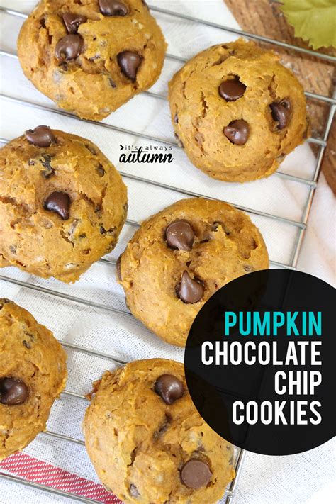 easy-5-ingredient-pumpkin-chocolate-chip-cookies image