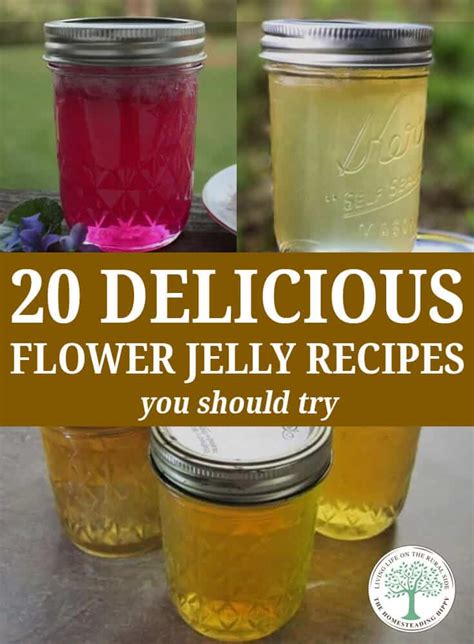 20-delicious-flower-jelly-recipes-you-should-try image