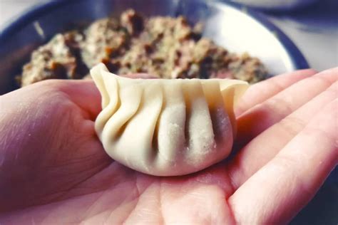 feastos-pho-beef-dumplings-recipe-cbc-life-pinterest image