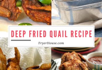 easy-deep-fried-quail-recipe-how-to-make-tt-fryer image