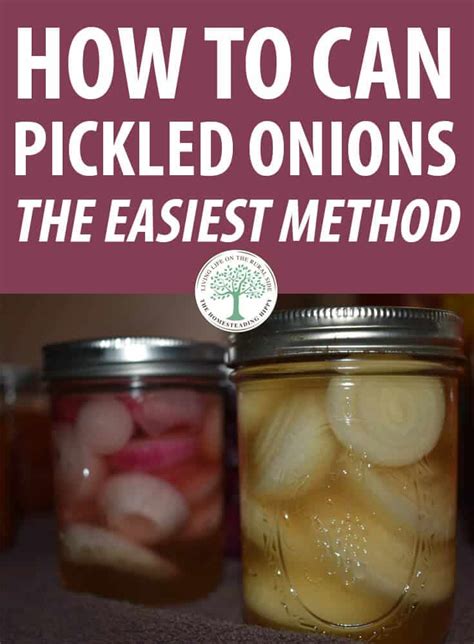 how-to-can-pickled-onions-the-easiest-method image