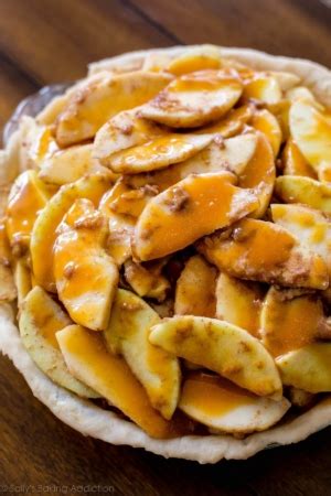 salted-caramel-apple-pie-sallys-baking-addiction image