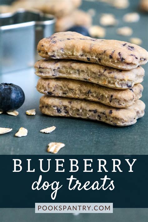 easy-blueberry-dog-treats-recipe-pooks-pantry-recipe-blog image
