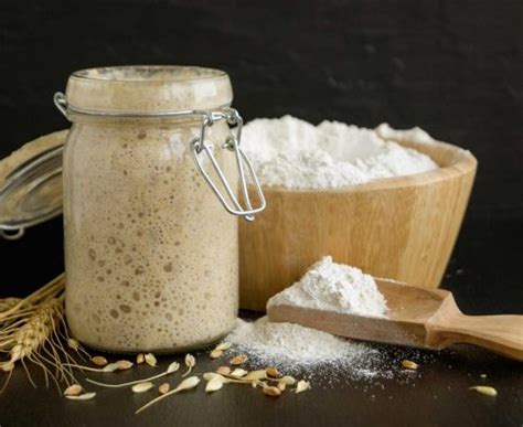 how-to-make-your-own-sourdough-starter-healthy image