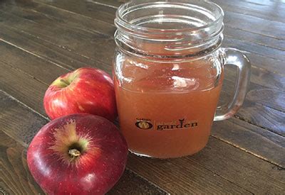 homemade-apple-cider-recipe-ready-in-just-minutes image