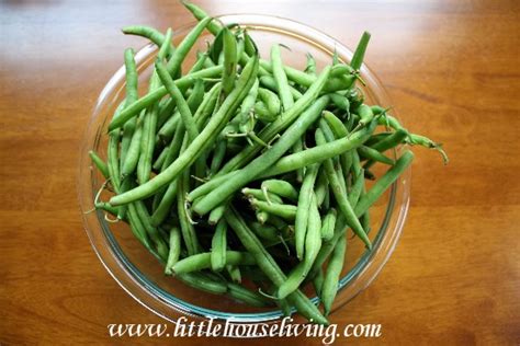 pickled-green-beans-dilly-beans-how-to-pickle image