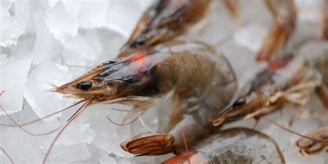 how-to-barbecue-prawns-great-british-chefs image
