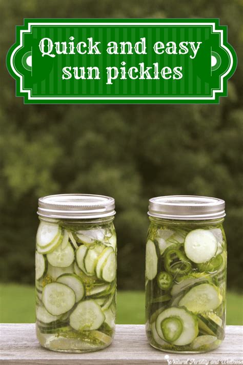 dill-sun-pickles-quick-and-easy-recipe-a-family-favorite image