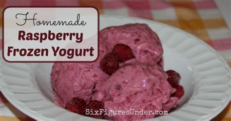 raspberry-frozen-yogurt-an-easy-and-delicious-summer image