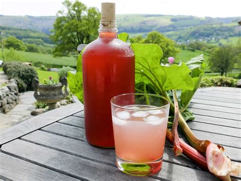 rhubarb-cordial-recipe-saga image