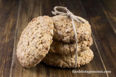 the-best-oatmeal-cookie-recipe-in-the-world-food image