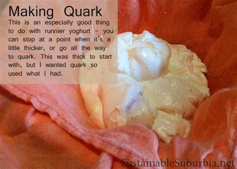 how-to-make-quark-aka-yo-cheese-sustainable image