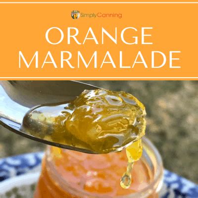 orange-marmalade-recipe-simplycanning image