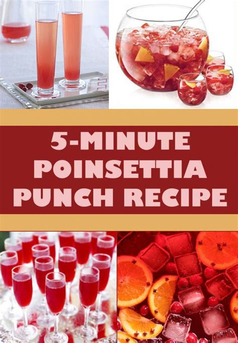 poinsettia-punch-recipe-the-budget-diet image