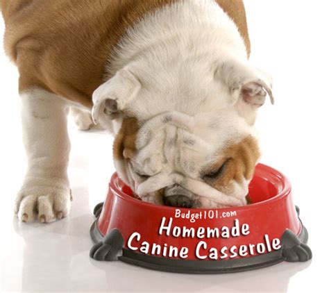 canine-casserole-homemade-dog-chow image