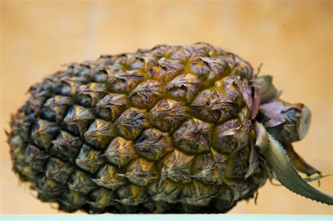 how-to-make-crushed-pineapple-from-fresh-pineapple image