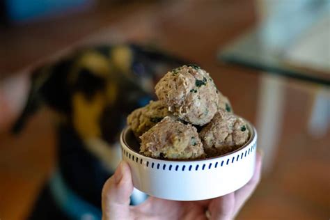 chicken-spinach-meatballs-for-dogs-pawsome image