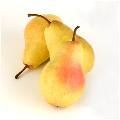 bartlett-pear-relish-usa-pears image