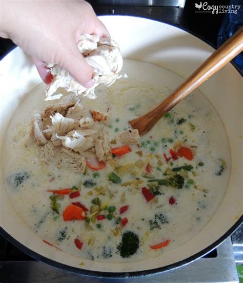 cheesy-chicken-vegetable-soup-cozy-country-living image