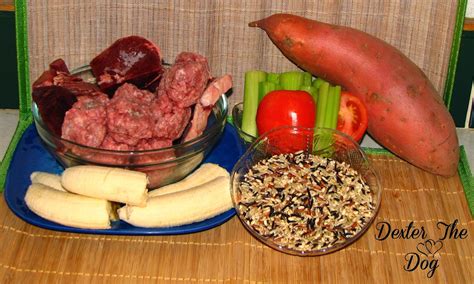 healthy-home-cooked-dog-food-recipes-buffalo image