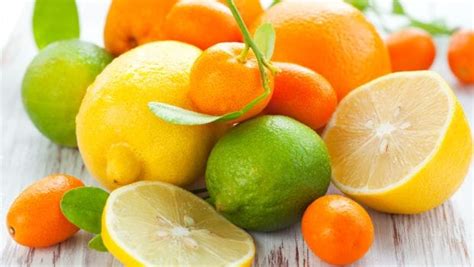 7-citrus-fruits-you-must-try-this-summer-from-blood image