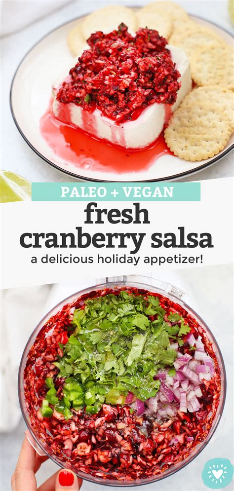 fresh-cranberry-salsa-a-fun-appetizer-idea-one image