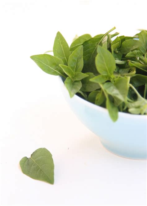 an-easy-way-of-preserving-basil-in-olive-oil-the image