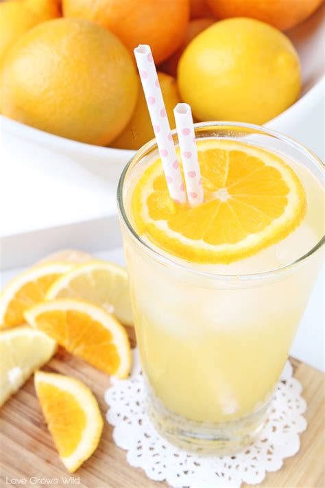 orange-lemon-shake-ups-love-grows-wild image