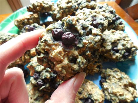 blueberry-oatmeal-breakfast-cookies-drizzle-me-skinny image