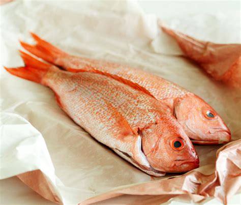whole-baked-red-snapper-recipe-james-beard-foundation image