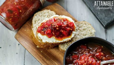 tomato-chutney-recipe-sweet-and-savory-flavor image