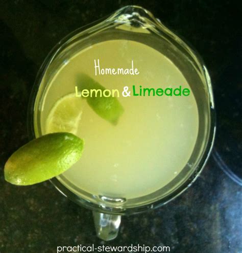 lemon-limeade-recipe-practical-stewardship image