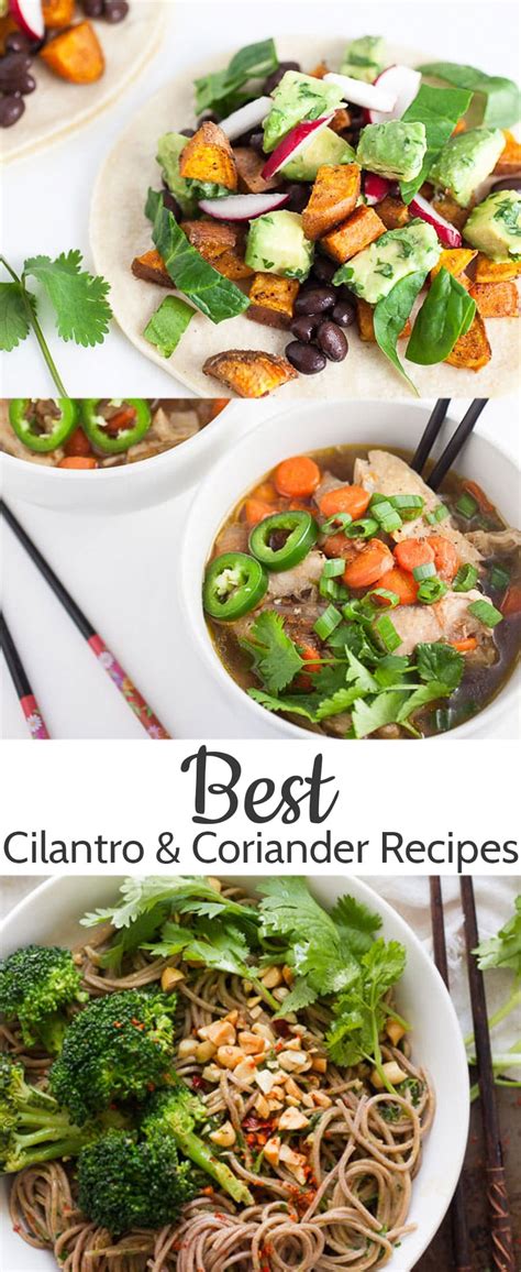 the-best-coriander-cilantro-recipes-fuss-free-flavours image