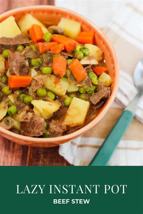lazy-instant-pot-beef-stew-sweet-t-makes-three image