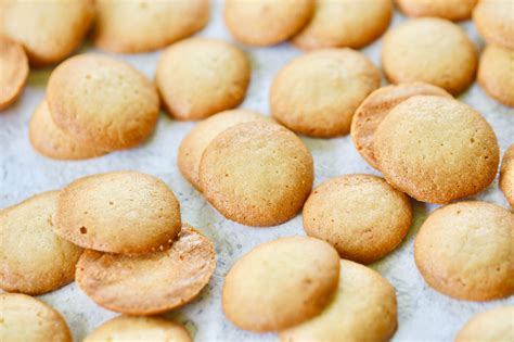 homemade-nilla-wafers-recipe-how-to-make-vanilla image