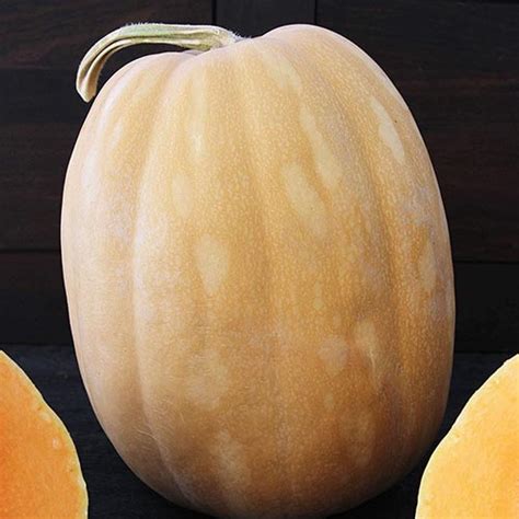 pie-pumpkins-11-of-the-best-varieties-to-grow-for image