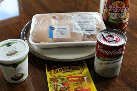 slow-cooker-creamy-salsa-chicken-freezer-meals image