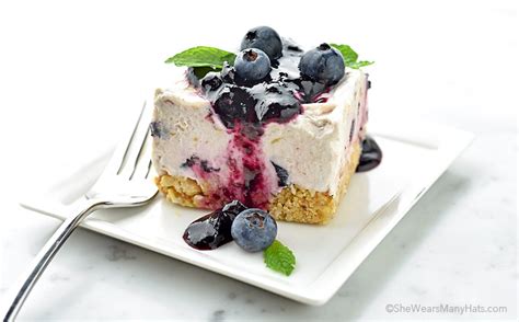 frozen-blueberry-squares-recipe-she-wears-many-hats image