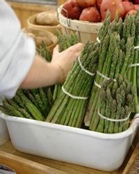asparagus-foodland-ontario image