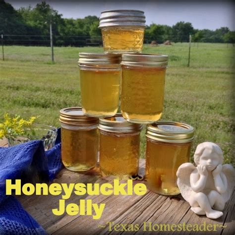 recipe-honeysuckle-jelly-childhood-memories-in-a-jar image