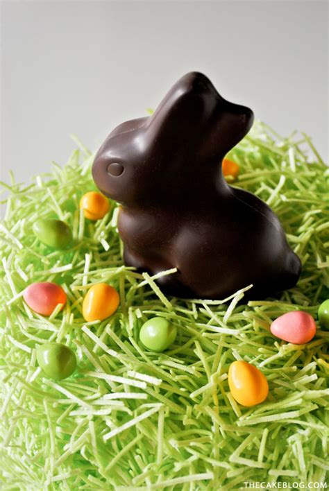 chocolate-easter-bunny-cake-the-cake-blog image