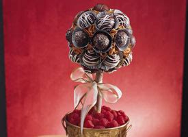 chocolate-truffles-topiary-recipe-goldmine image