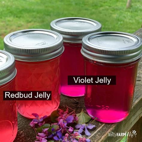 homemade-violet-jelly-the-nerdy-farm-wife image