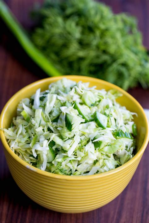green-cabbage-cucumber-salad-with-herbs-momsdish image