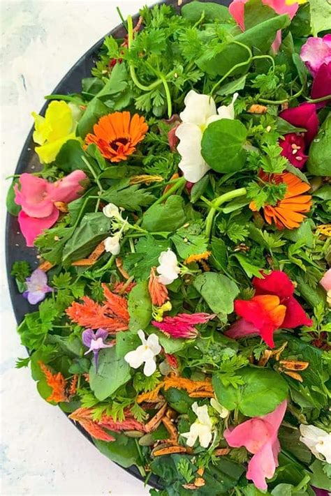 herb-salad-with-edible-flowers-the-devil-wears-salad image