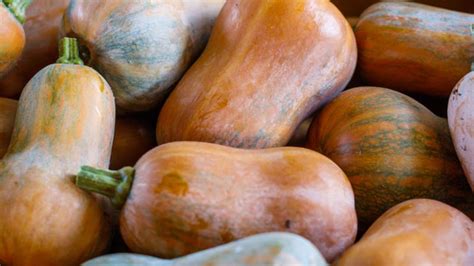 everything-you-need-to-know-about-honeynut-squash image