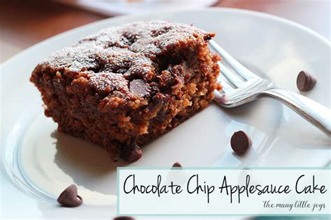 easy-chocolate-chip-applesauce-cake-the-many-little-joys image