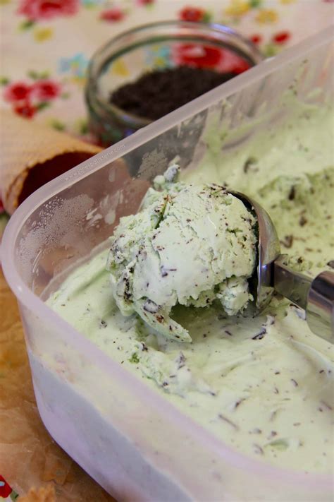no-churn-mint-chocolate-ice-cream-janes-patisserie image
