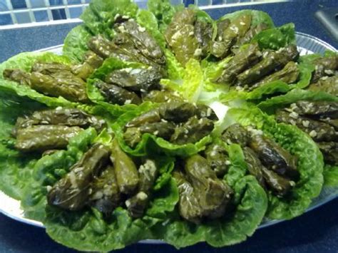 palestinian-stuffed-grape-leaves-recipe-sparkrecipes image